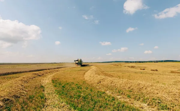 Duża transakcja ukraińskiego giganta rolniczego – co to oznacza dla rynku i inwestorów?